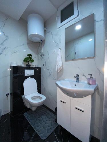 a bathroom with a white toilet and a sink at Apartment Carpe Diem in Koper