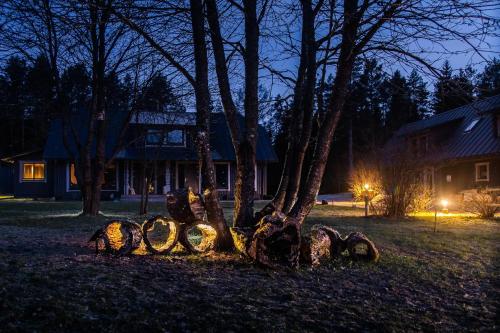 a group of logs sitting in the grass next to a house at Evita - 'Virš Ąžuolų' - Forest SPA - Horses - Lake in Paplatelė