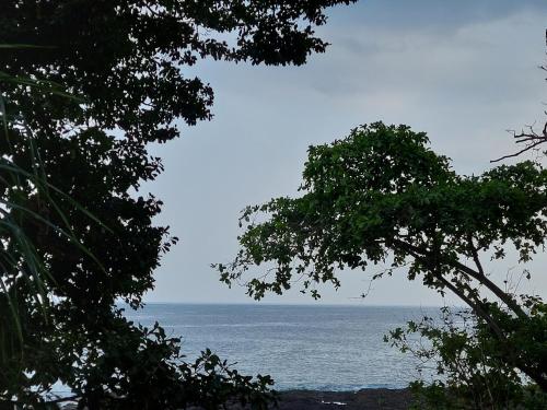 a view of the ocean from between two trees at Adhvasaha Beach Spa Resort in Port Blair