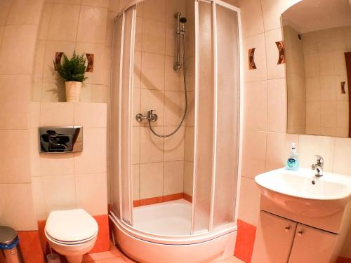 a bathroom with a shower and a toilet and a sink at Villa Gemini in Mielno