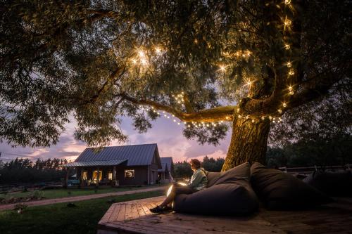 a woman sitting on a couch under a tree at Gilė -'Virš Ąžuolų' - Forest SPA - Horses - Lake - Chalet in Paplatelė