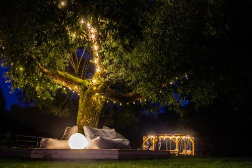 a tree with lights in a park at night at Gilė -'Virš Ąžuolų' - Forest SPA - Horses - Lake - Chalet in Paplatelė