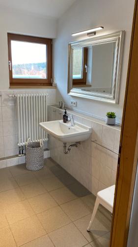a bathroom with a sink and a mirror and a radiator at Alb Lodge in Gomadingen