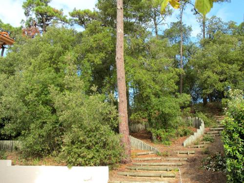 een tuin met een houten hek en bomen bij Holiday Home Les Bars - TSM507 by Interhome in La Tranche-sur-Mer