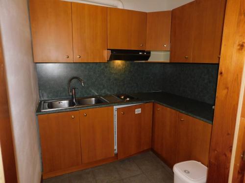 a kitchen with wooden cabinets and a sink and a toilet at Ski Residence in San Martino di Castrozza