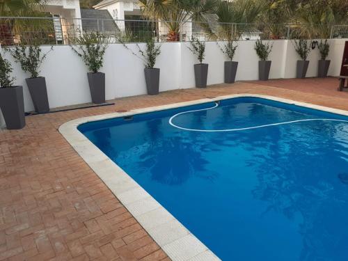 a blue swimming pool in a courtyard with plants at The Holy Hill Royal Alfred Marina in Port Alfred