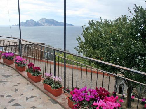 馬薩盧布倫塞的住宿－Apartment Don Luigino - Capri view by Interhome，阳台上的盆子里放着一束鲜花