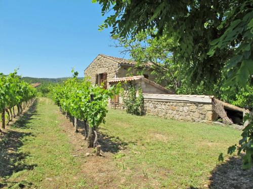 a row of vines in front of a stone house at Holiday Home Malbosc by Interhome in Saint-Genest-de-Bauzon