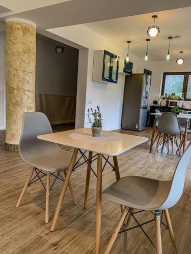 a dining room and kitchen with a table and chairs at Transylvania Mountain View CDI in Bran