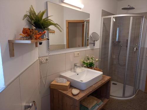 a bathroom with a sink and a shower at Ferienwohnungen am Lärchenweg in Sesto
