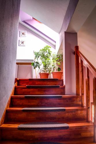 Φωτογραφία από το άλμπουμ του Apartments and Rooms Štefanac σε Slunj