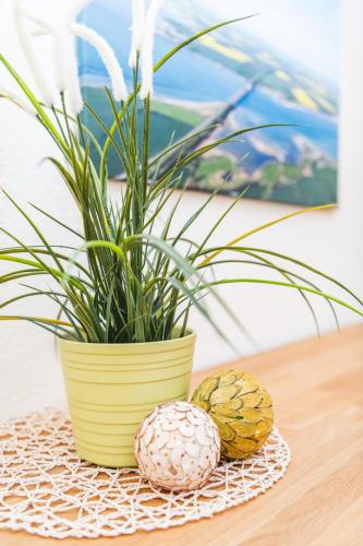 a plant in a yellow pot next to two acorns at Skerra Apartments "am Fitness-Studio" in Fehmarn