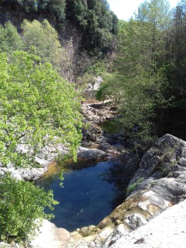 Gambar di galeri bagi Mon petit Paradis di Joannas