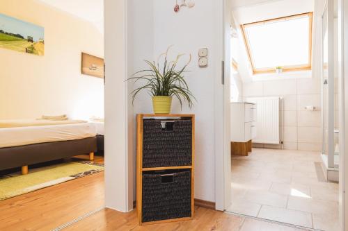 a room with a plant on top of a shelf at Skerra Apartments "am Fitness-Studio" in Fehmarn