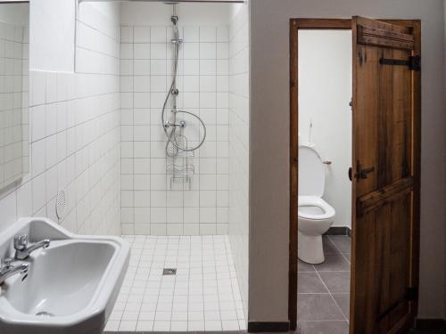 y baño con ducha, lavabo y aseo. en AUBERGE BORDA, en Saint-Michel