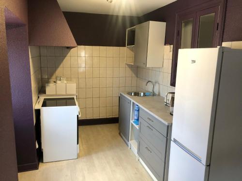 une petite cuisine avec un réfrigérateur et un évier dans l'établissement Appartement porte du cantal, à Massiac