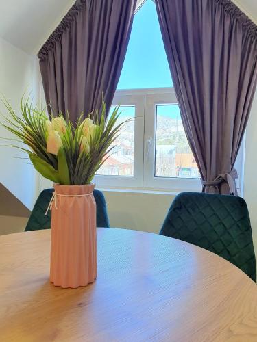Fotografie z fotogalerie ubytování Downtown apartment v destinaci Cetinje