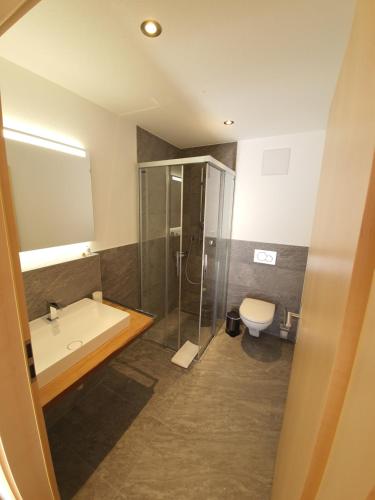 a bathroom with a shower and a tub and a toilet at Alpen-Park Dachwohnung Ost in Riederalp