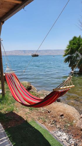 a hammock on the shore of a body of water at Tiberias 1 in Tiberias