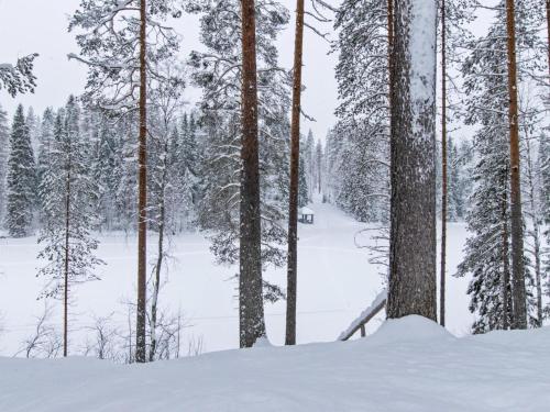 un bosque nevado con árboles y un sendero en Holiday Home Lohiukko by Interhome en Kotila