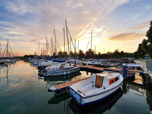 Gallery image of NaturExpert Mobilházak-Füred Kemping Balatonfüred in Balatonfüred