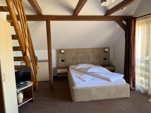 a hotel room with a bed and a television at Pensiunea Teodora in Dorna Arini