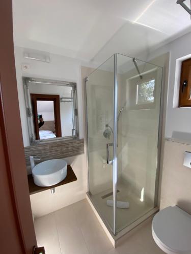 a bathroom with a glass shower and a sink at Pensiunea Teodora in Dorna Arini