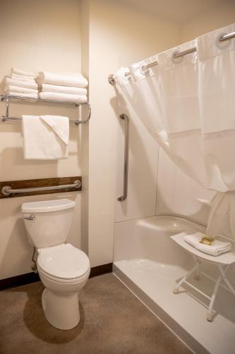a white bathroom with a toilet and a shower at Eagle Cap Chalets in Joseph
