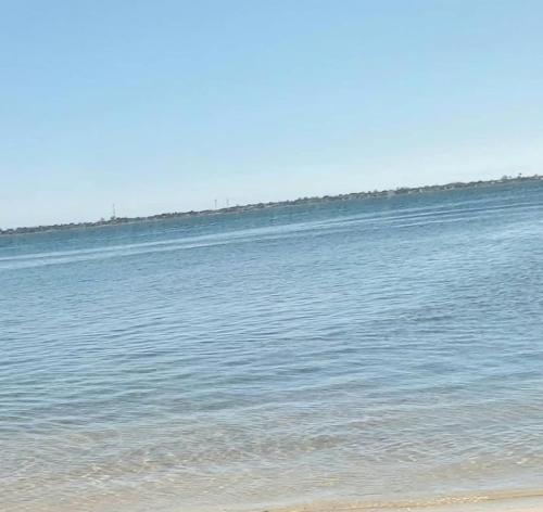 Pousada Recanto Verde e Mar في أرارواما: بجسم كبير من المياه مع شاطئ وأشجار