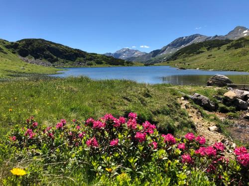 a view of a lake with pink flowers in a field at Ferienlodge Edelstein in Forstau