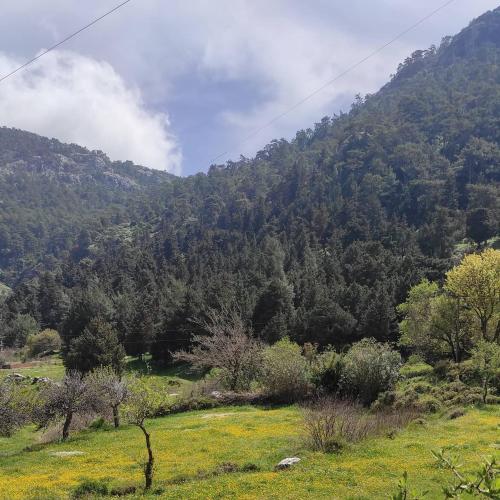 a grassy field in front of a mountain at Esin's Houses in Marmaris