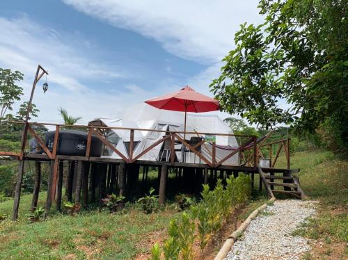 a tent with a red umbrella in a field at Eco-Glamping Shalom in Mariquita