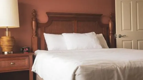 Holiday Inn Club Vacations - Orlando Breeze Resort photo 15