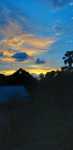 a sunset in a field with a tree in the background at Khmer House Guesthouse in Kep