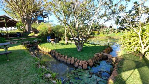a pond with a tree in the middle of a yard at Yellow Haven Lodge in Kampala