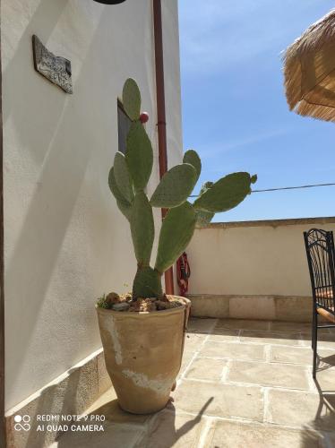 Un balcón o terraza de Masseria li Vecchi