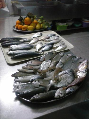 a bunch of fish on a plate on a counter at Hotel Piccolo Paradiso in Peschici