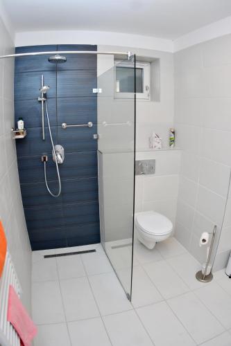 a bathroom with a glass shower and a toilet at Fűzliget Ezüstnyár in Balatonfůzfő