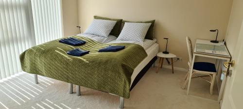 a bedroom with a bed with blue pillows on it at Cichy Zakątek 2 in Odense