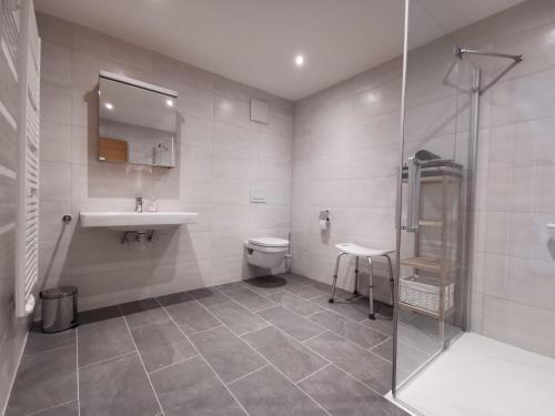 a bathroom with a shower and a sink and a toilet at Zauscherhof in Wildermieming