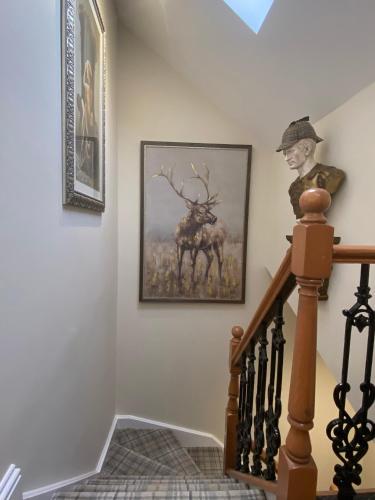 Φωτογραφία από το άλμπουμ του Clan Young Suite Apartment-LUXURY CENTRAL GETAWAY!! σε Berwick-Upon-Tweed