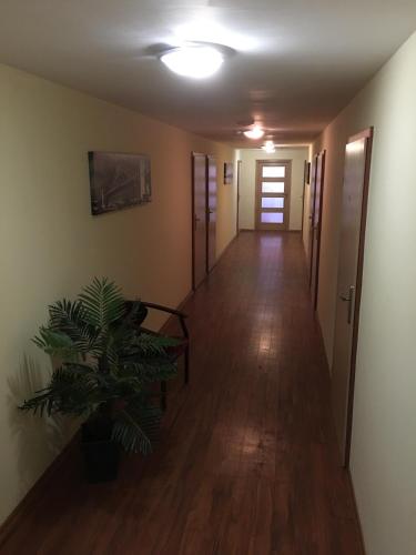 an empty hallway with a potted plant in a room at Noclegi Wałbrzych - Pokoje Konrad in Wałbrzych