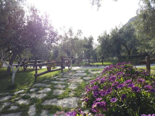 a garden with purple flowers next to a fence at Il Mandorlo in Amantea