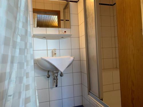 a bathroom with a sink and a mirror at Hotel Garni Siedlerstube in Nürtingen