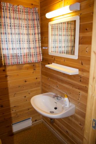 a bathroom with a sink and a mirror at Hjelledalen Hyttesenter in Hjelle