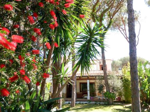 Sardinian Pearl Villa – Photos 4