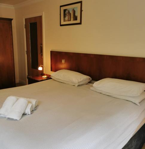Ένα ή περισσότερα κρεβάτια σε δωμάτιο στο Three Rivers Hotel