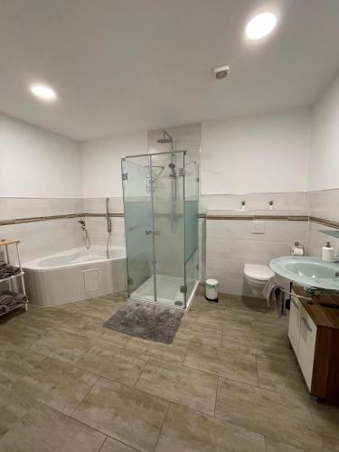 a bathroom with a shower and a tub and a sink at Ferienwohnungen AKH Home in Sankt Wendel