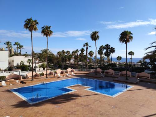 a swimming pool with palm trees in the background at ACAPULCO AMAZING VIEWS. POOL. FREE WIFI in Playa Fañabe