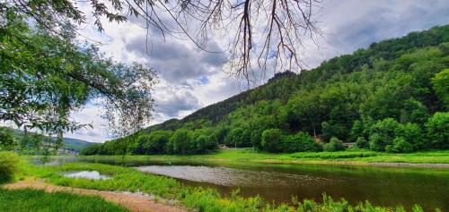 a river in a field next to a mountain at Pension Bomätscher in Königstein an der Elbe